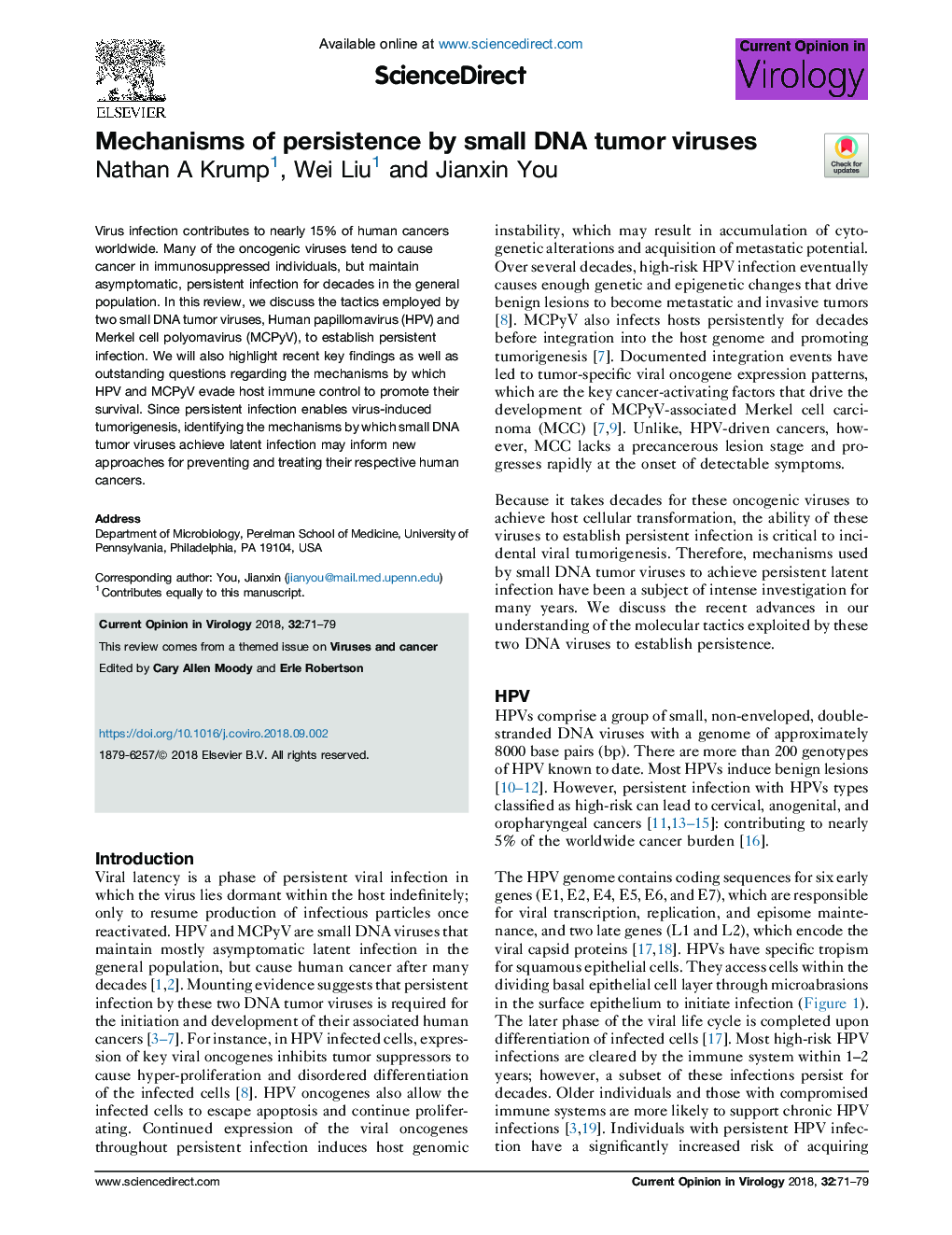 Mechanisms of persistence by small DNA tumor viruses