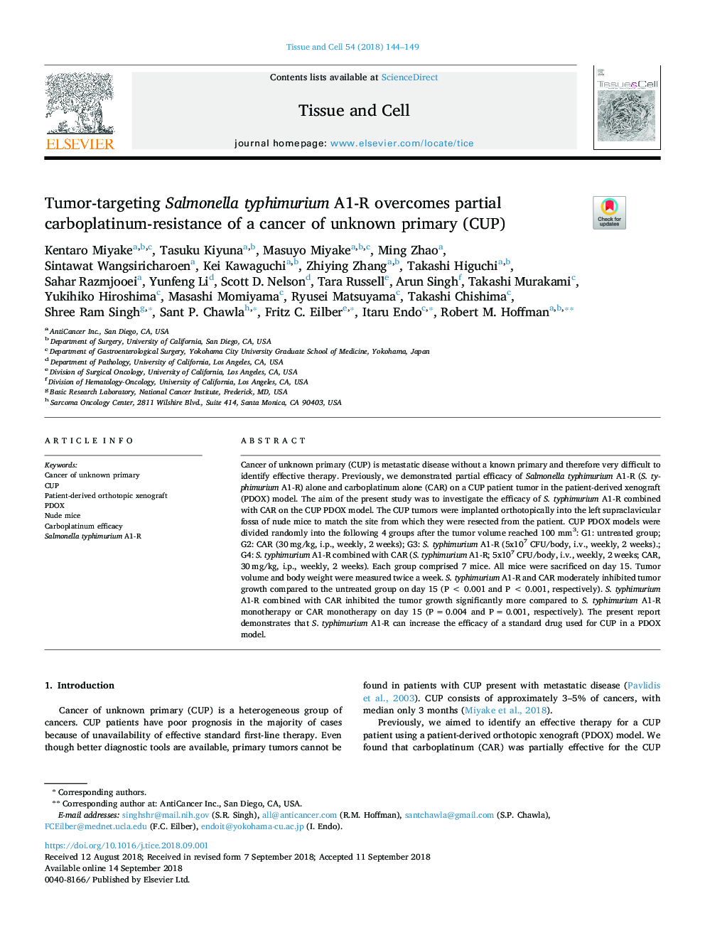 Tumor-targeting Salmonella typhimurium A1-R overcomes partial carboplatinum-resistance of a cancer of unknown primary (CUP)