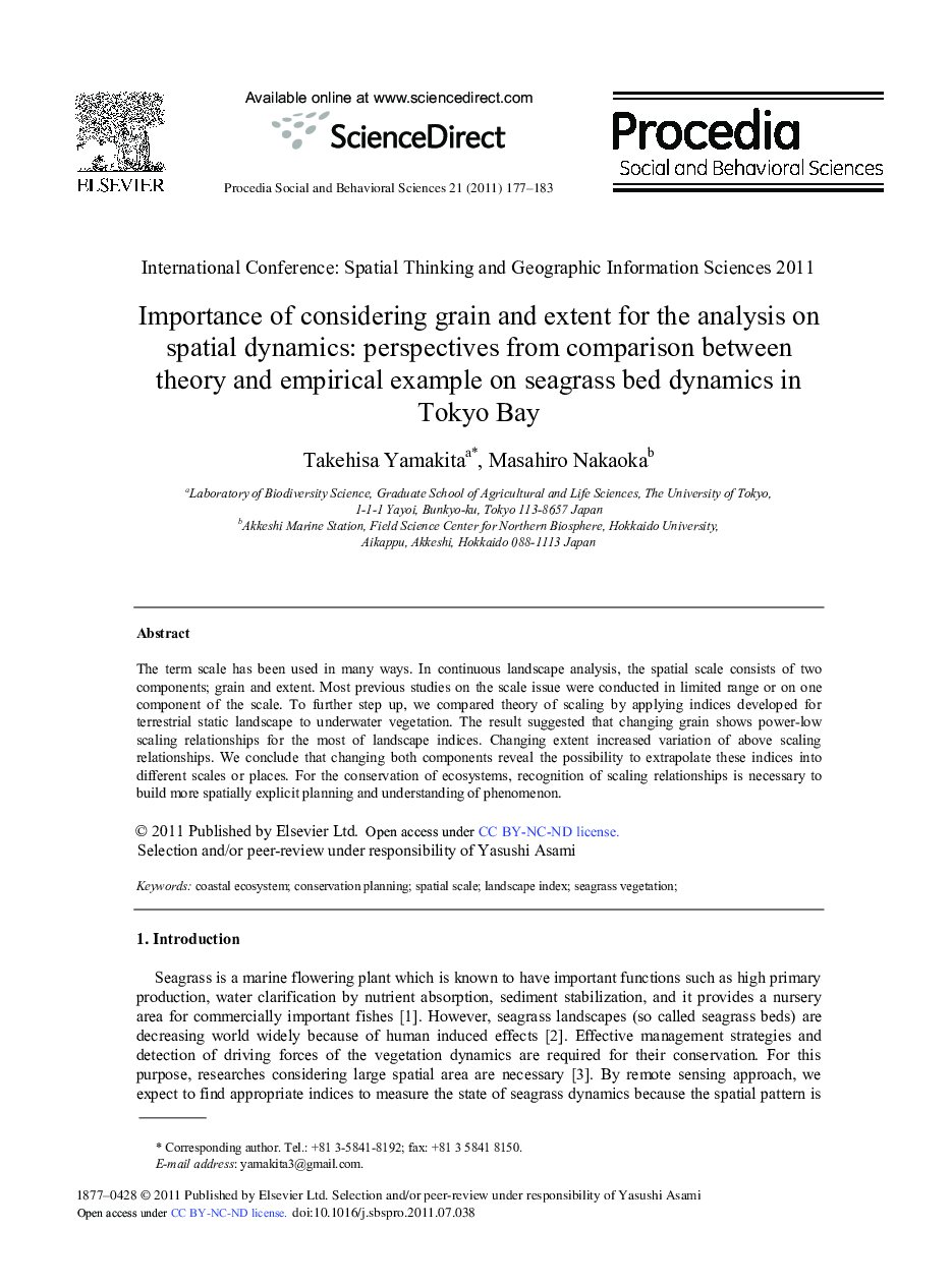 Importance of considering grain and extent for the analysis on spatial dynamics: perspectives from comparison between theory and empirical example on seagrass bed dynamics in Tokyo Bay