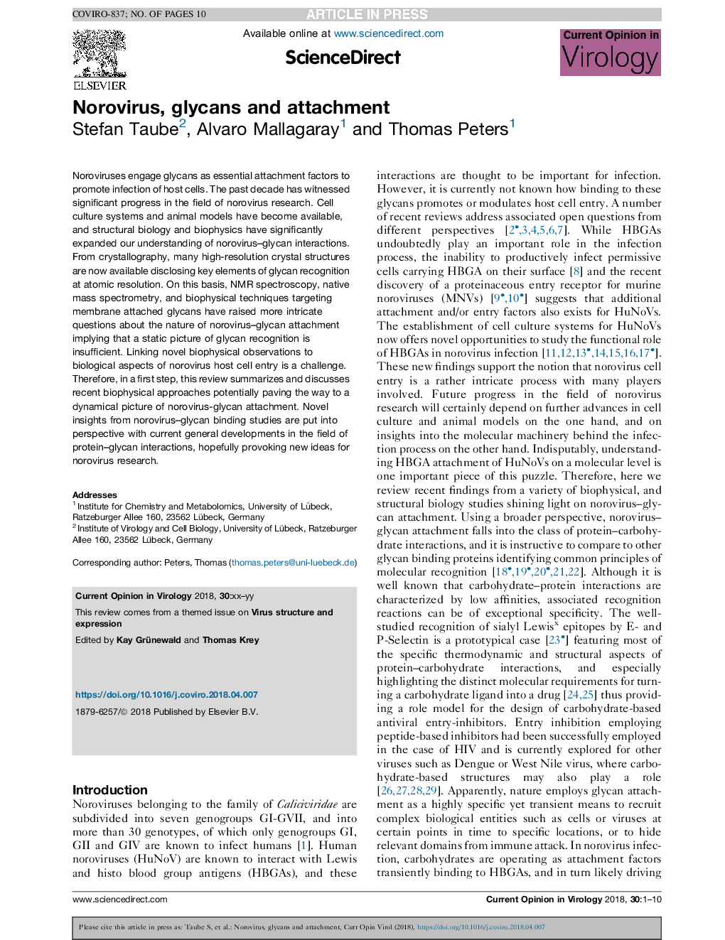 Norovirus, glycans and attachment