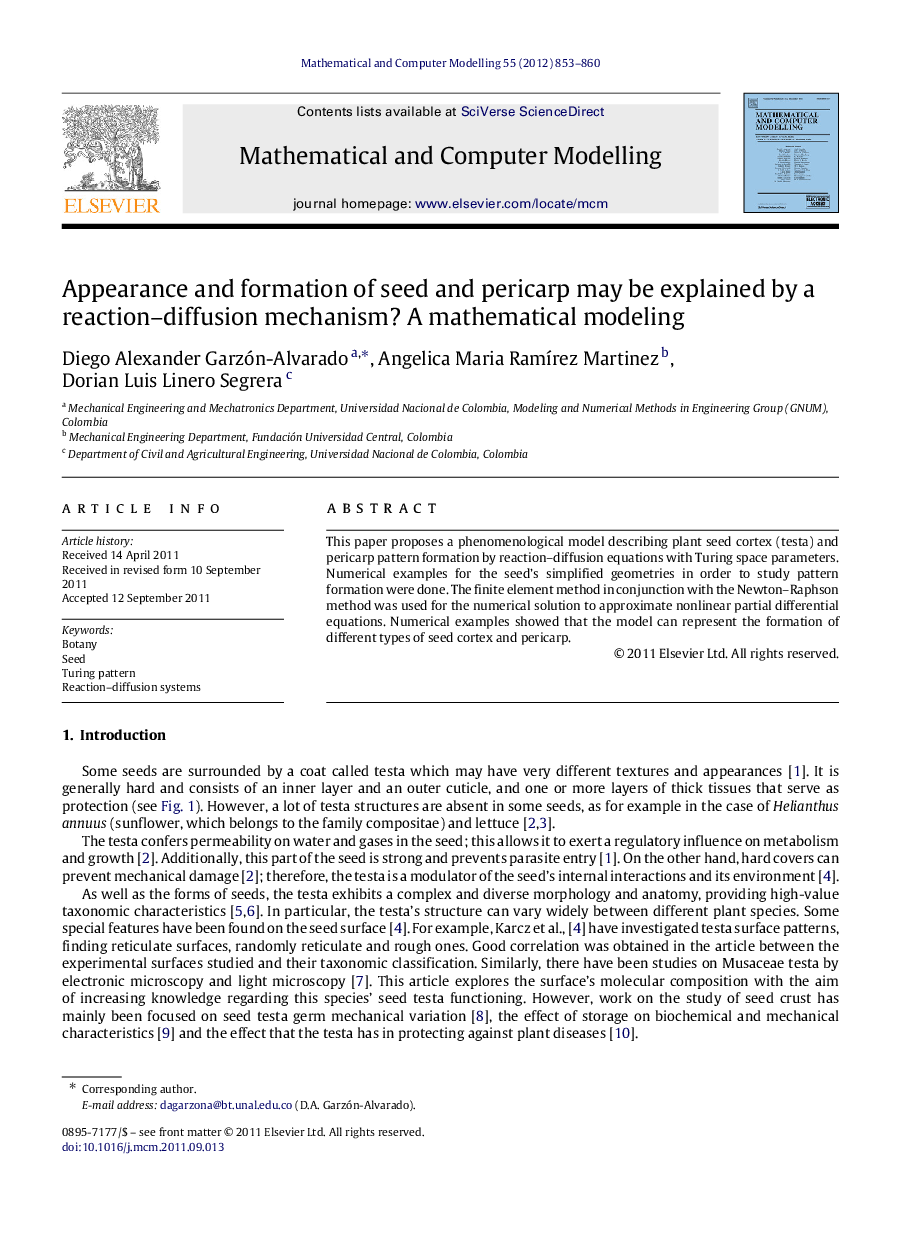 Appearance and formation of seed and pericarp may be explained by a reaction–diffusion mechanism? A mathematical modeling