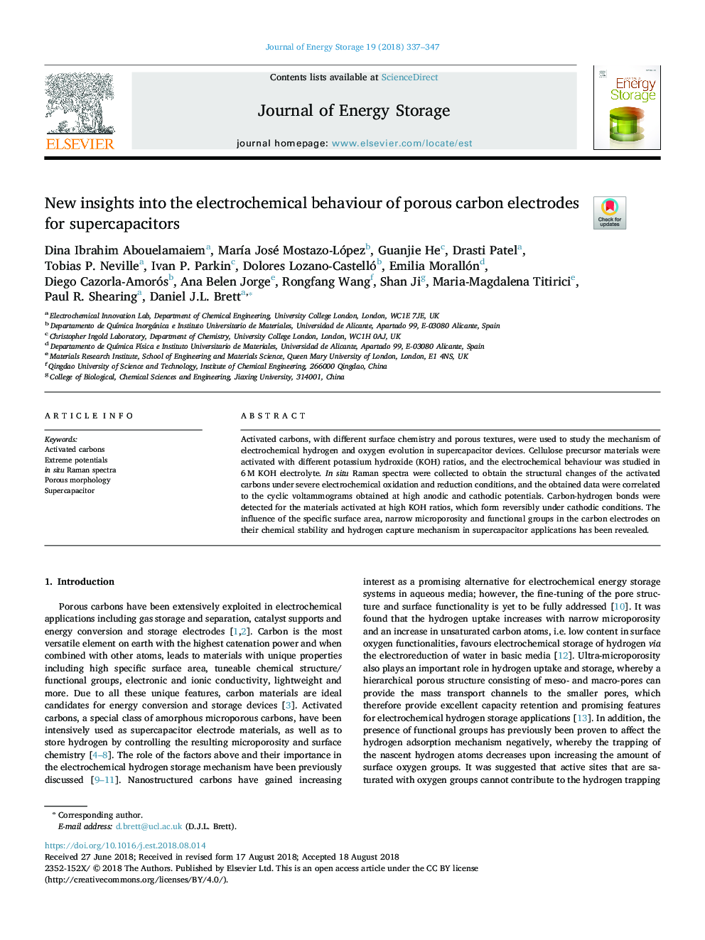 New insights into the electrochemical behaviour of porous carbon electrodes for supercapacitors