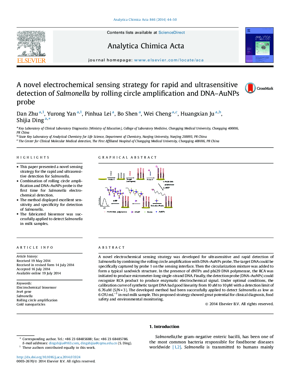 A novel electrochemical sensing strategy for rapid and ultrasensitive detection of Salmonella by rolling circle amplification and DNA–AuNPs probe