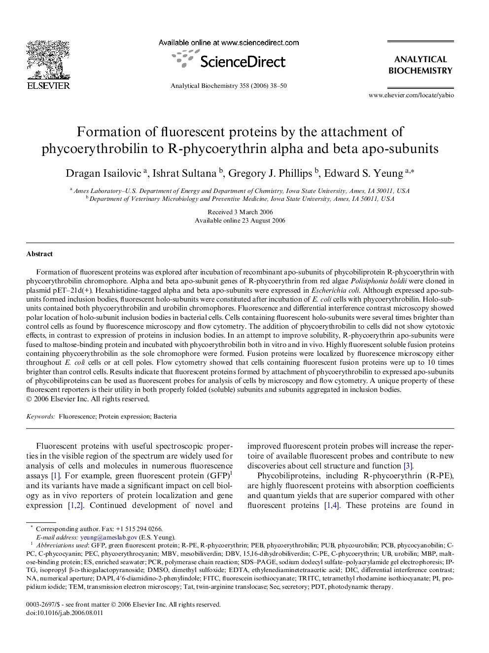 Formation of fluorescent proteins by the attachment of phycoerythrobilin to R-phycoerythrin alpha and beta apo-subunits