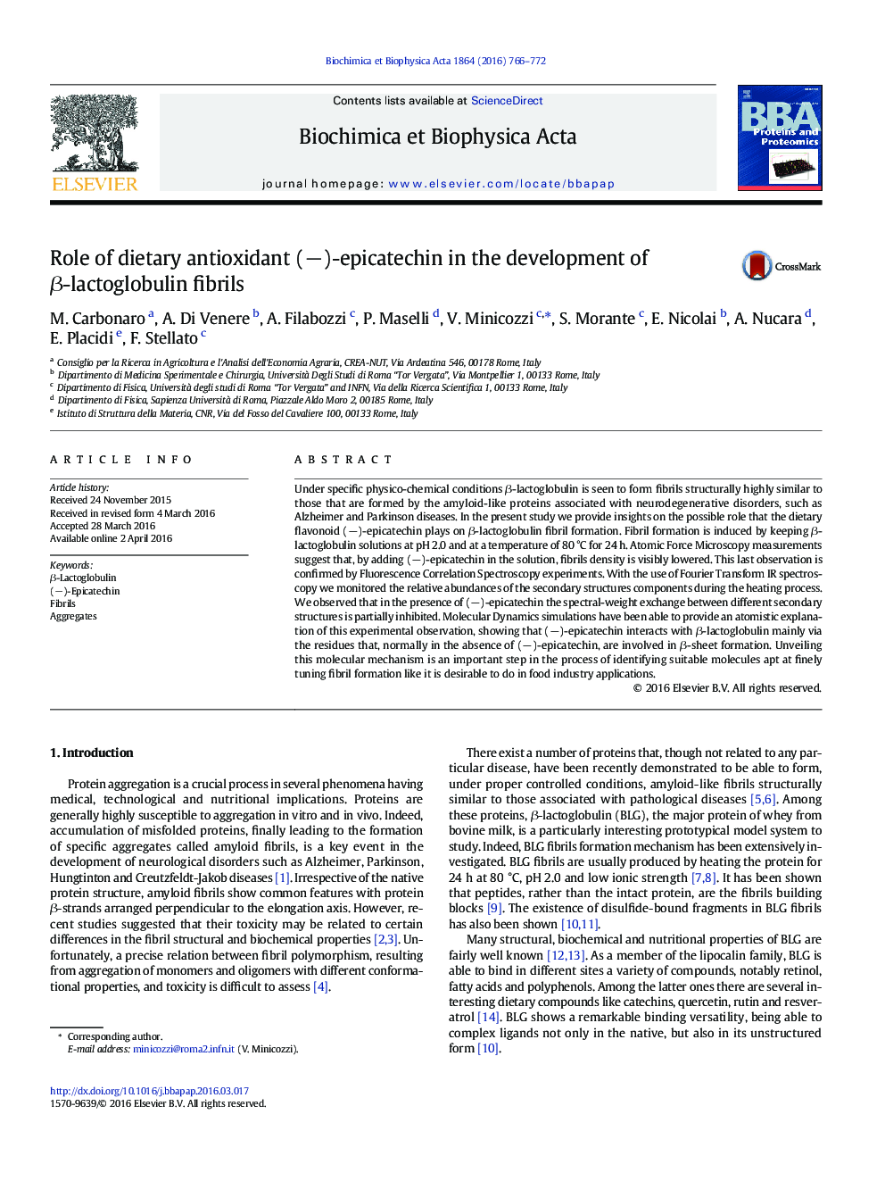 Role of dietary antioxidant (−)-epicatechin in the development of β-lactoglobulin fibrils