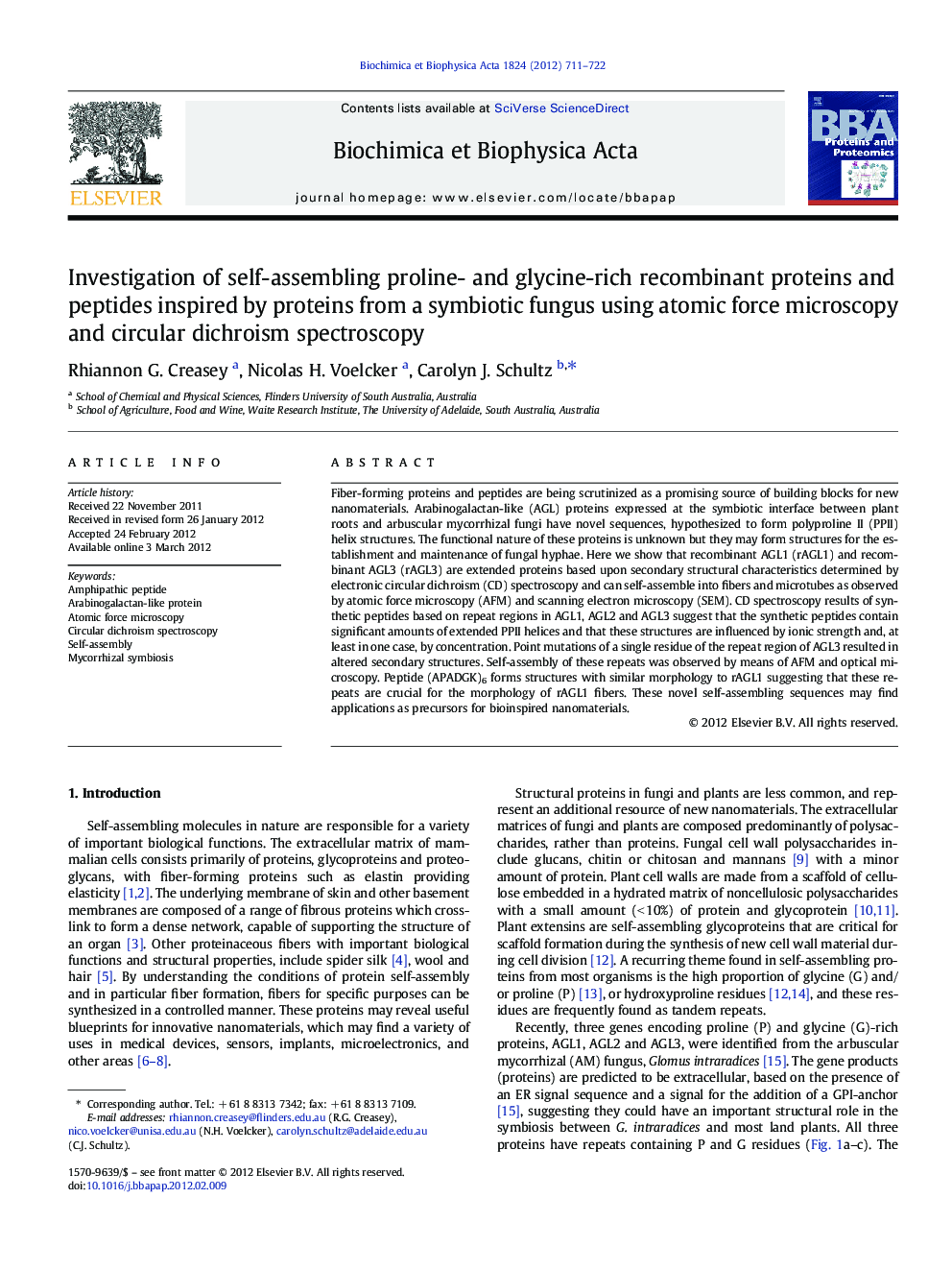 Investigation of self-assembling proline- and glycine-rich recombinant proteins and peptides inspired by proteins from a symbiotic fungus using atomic force microscopy and circular dichroism spectroscopy