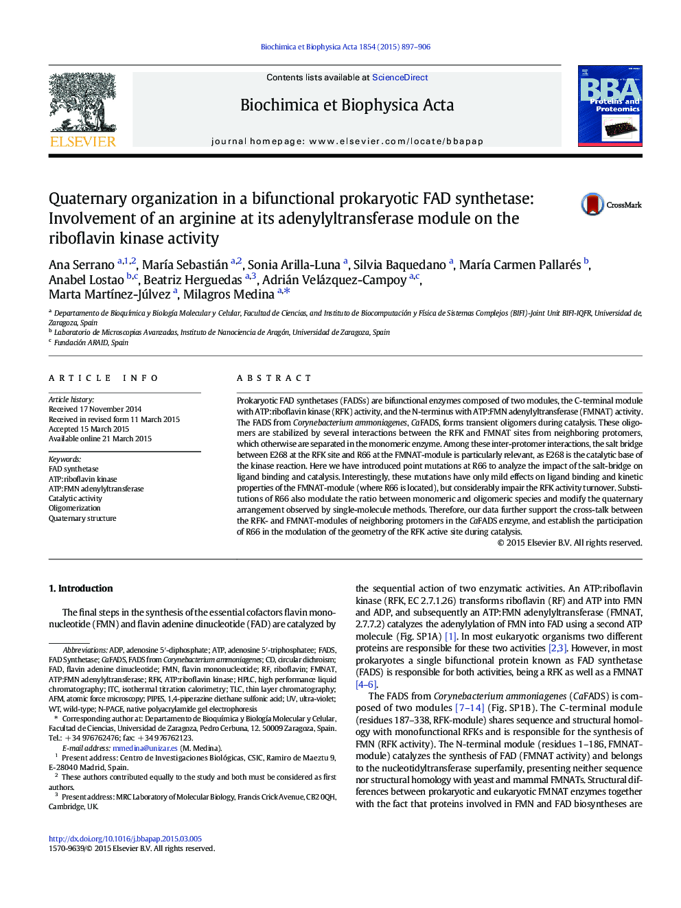 Quaternary organization in a bifunctional prokaryotic FAD synthetase: Involvement of an arginine at its adenylyltransferase module on the riboflavin kinase activity