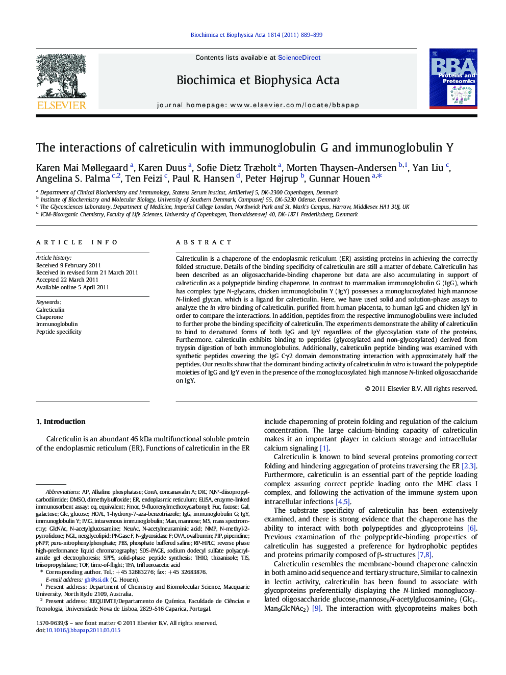 The interactions of calreticulin with immunoglobulin G and immunoglobulin Y