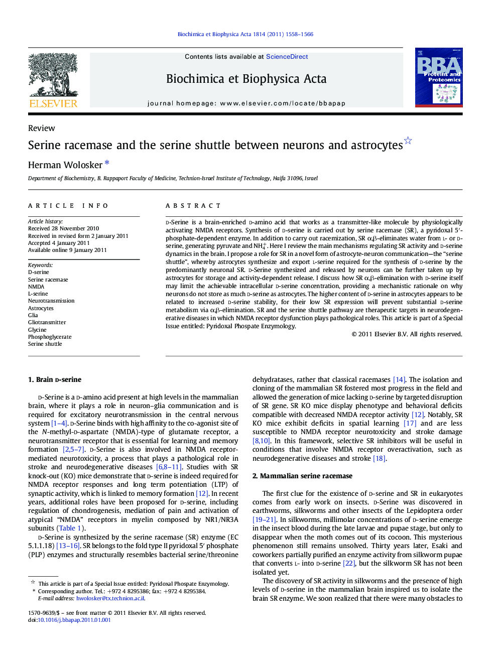 Serine racemase and the serine shuttle between neurons and astrocytes 