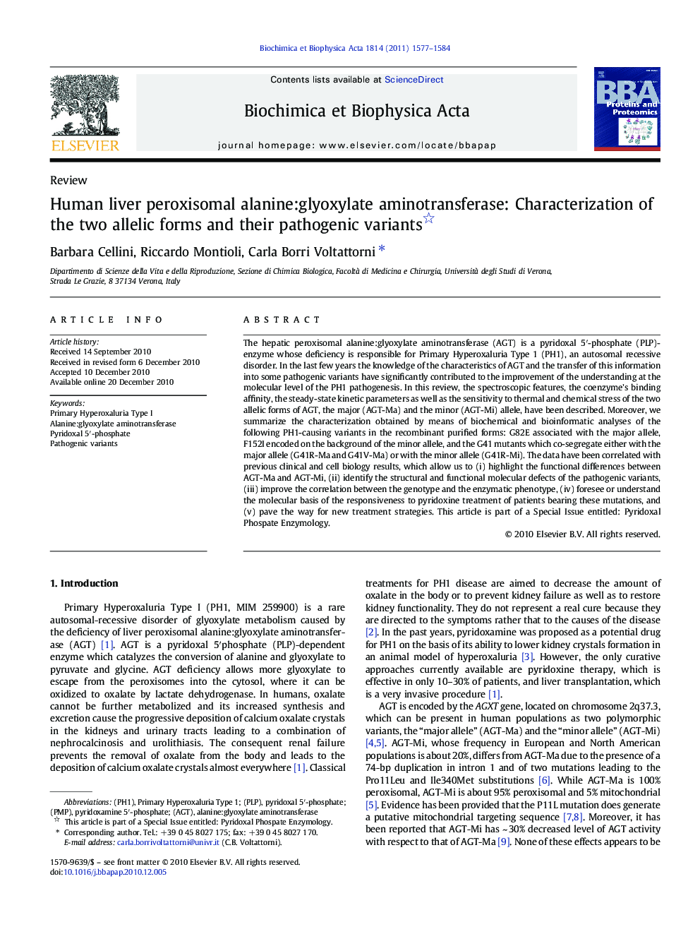 Human liver peroxisomal alanine:glyoxylate aminotransferase: Characterization of the two allelic forms and their pathogenic variants 