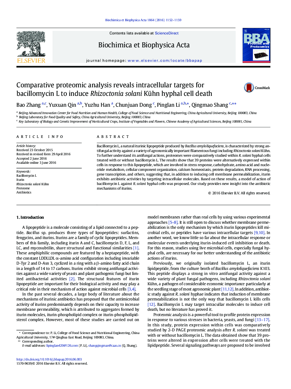 Comparative proteomic analysis reveals intracellular targets for bacillomycin L to induce Rhizoctonia solani Kühn hyphal cell death