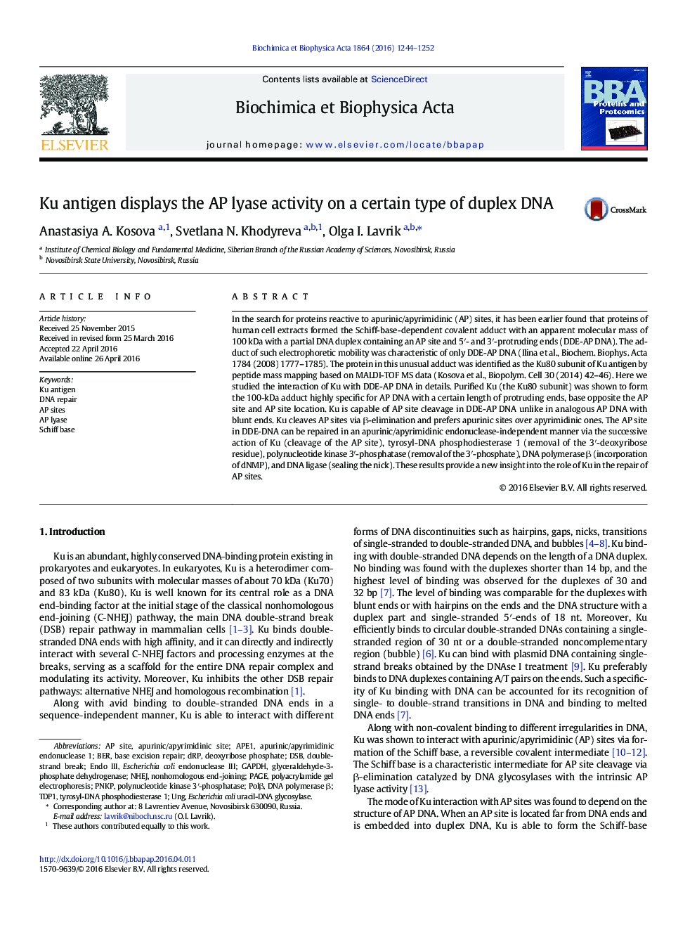 Ku antigen displays the AP lyase activity on a certain type of duplex DNA