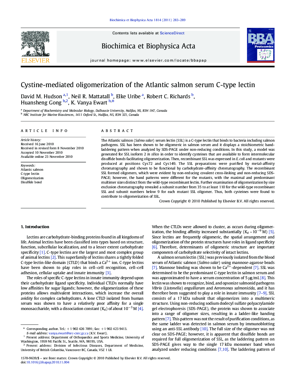 Cystine-mediated oligomerization of the Atlantic salmon serum C-type lectin