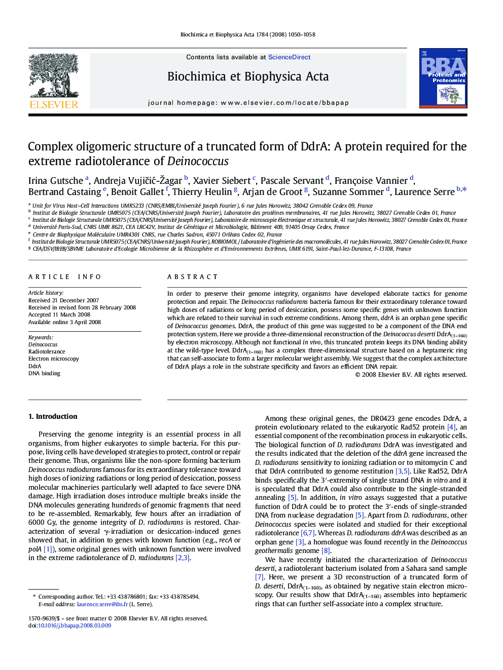 Complex oligomeric structure of a truncated form of DdrA: A protein required for the extreme radiotolerance of Deinococcus