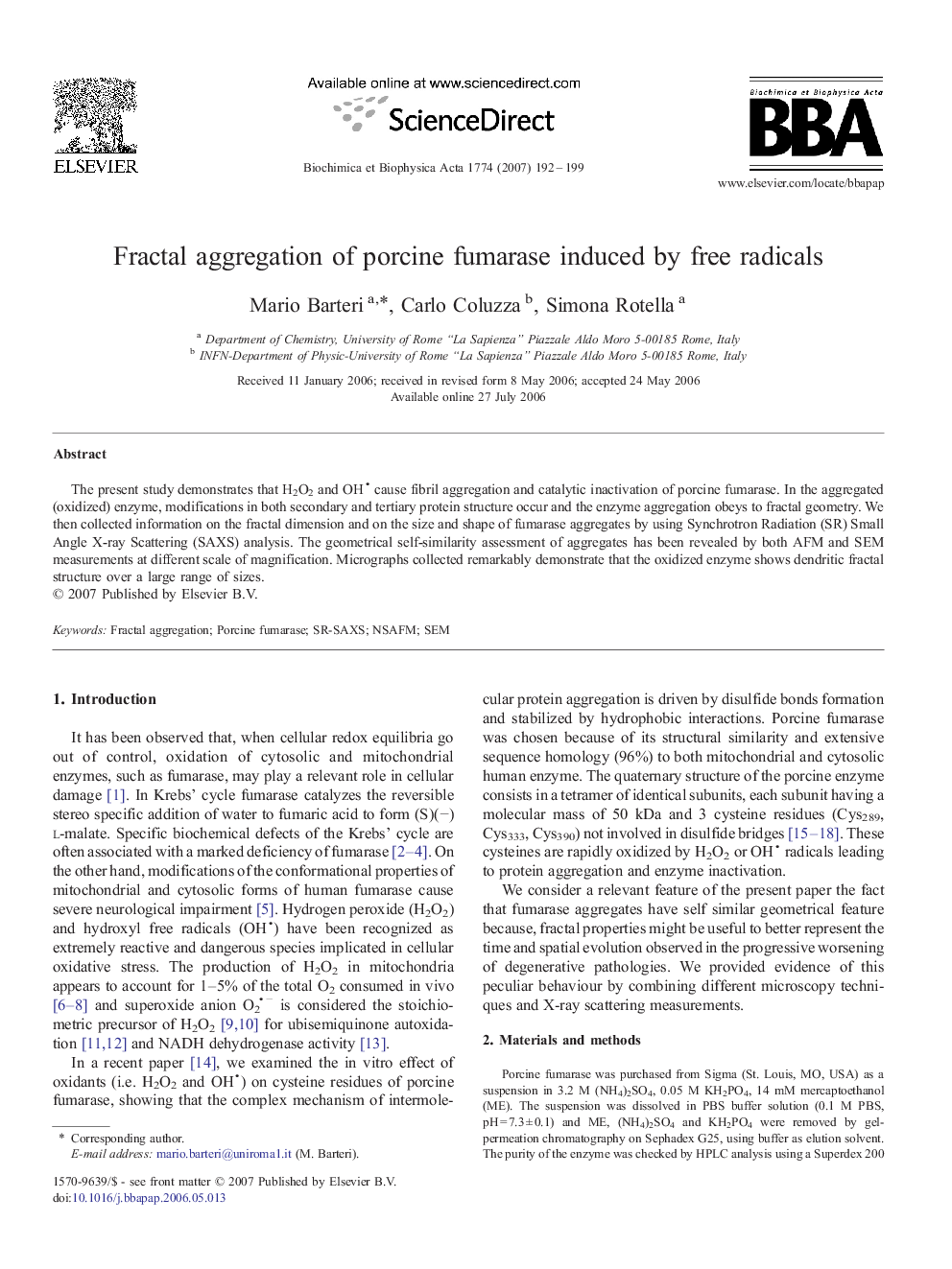 Fractal aggregation of porcine fumarase induced by free radicals