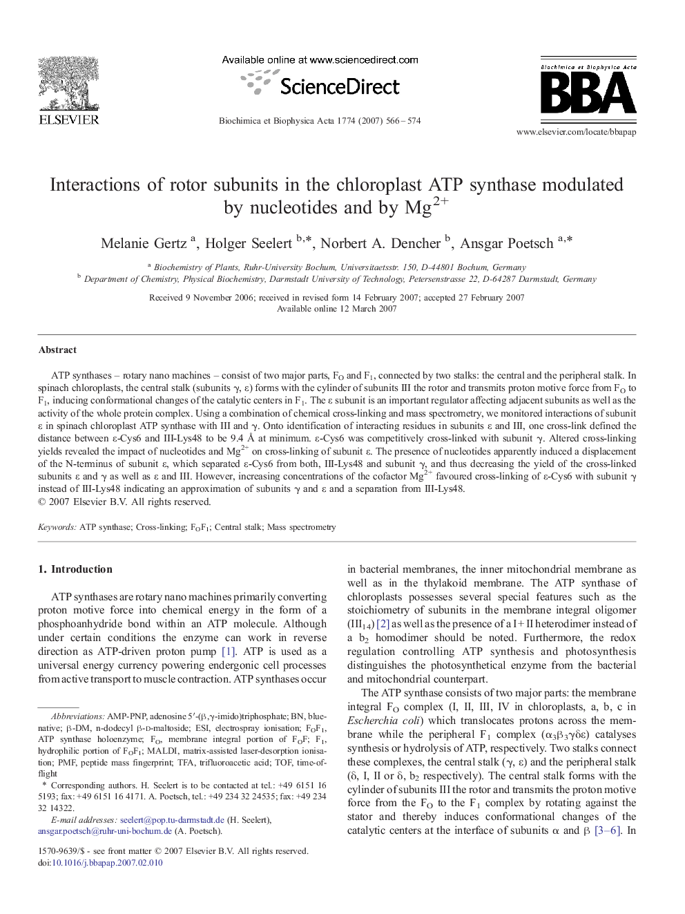 Interactions of rotor subunits in the chloroplast ATP synthase modulated by nucleotides and by Mg2+