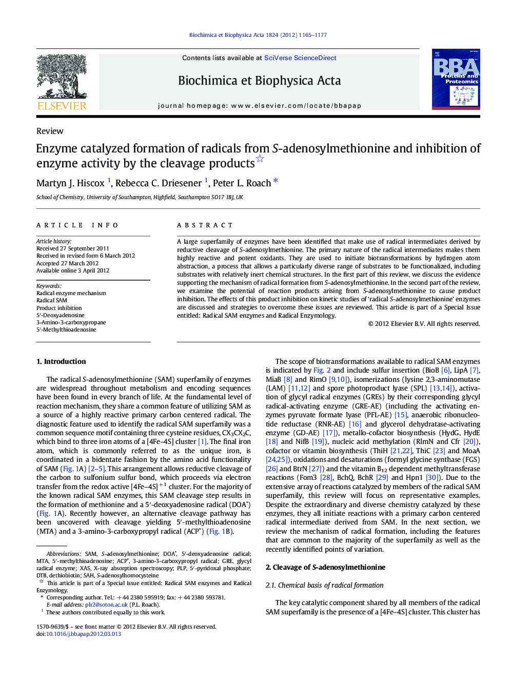 Enzyme catalyzed formation of radicals from S-adenosylmethionine and inhibition of enzyme activity by the cleavage products 