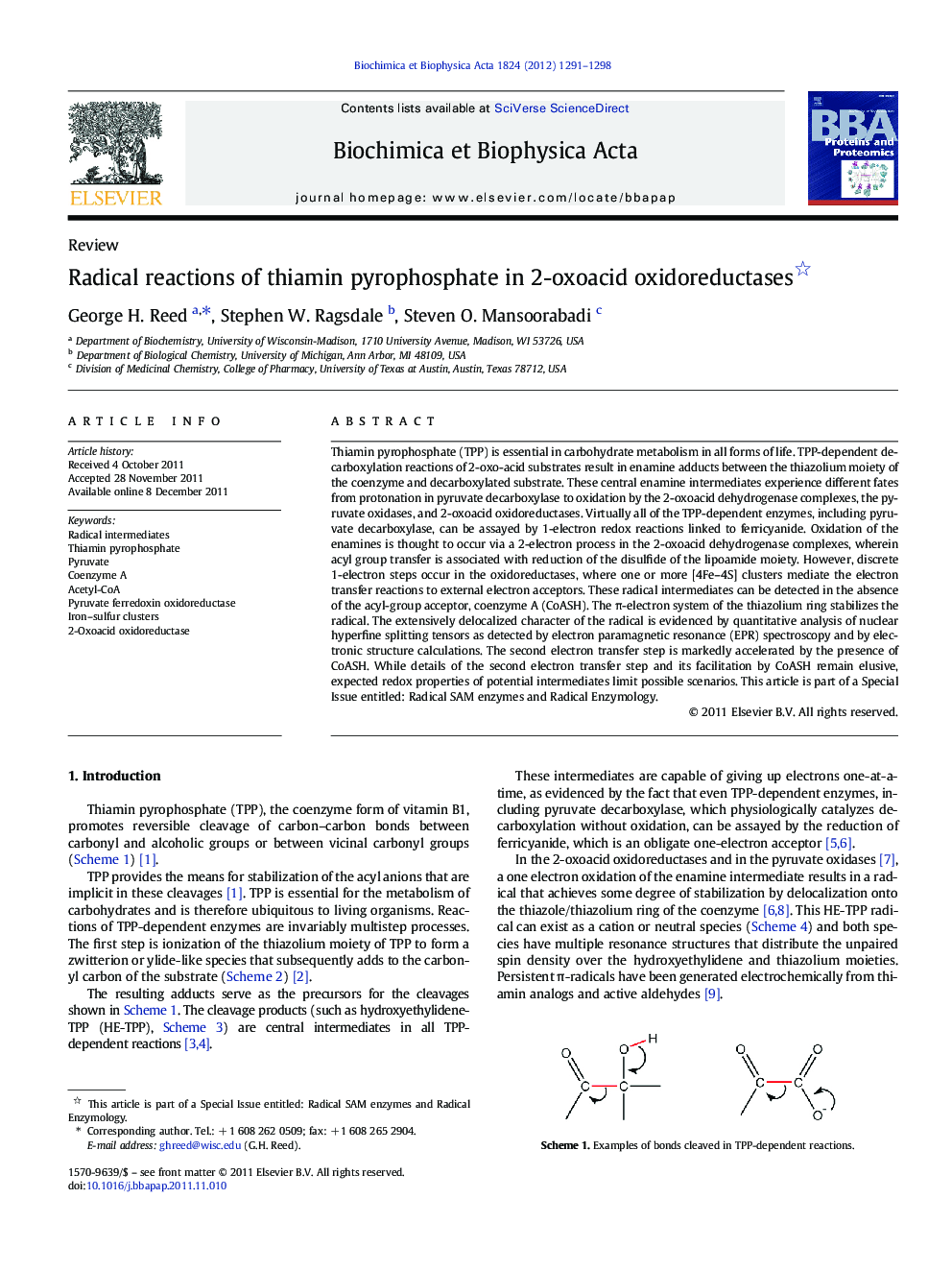 Radical reactions of thiamin pyrophosphate in 2-oxoacid oxidoreductases 