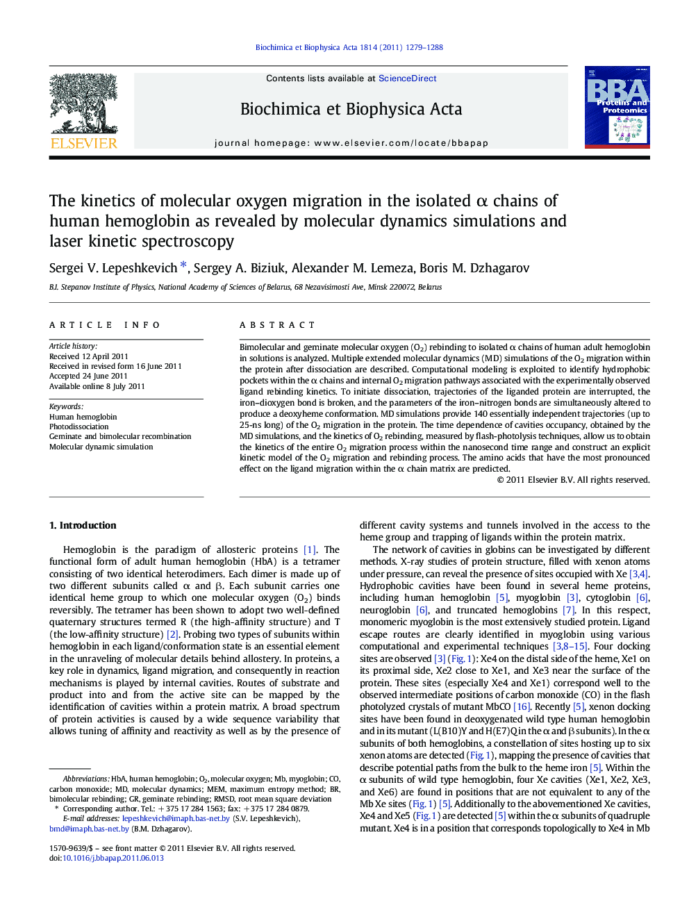 The kinetics of molecular oxygen migration in the isolated α chains of human hemoglobin as revealed by molecular dynamics simulations and laser kinetic spectroscopy