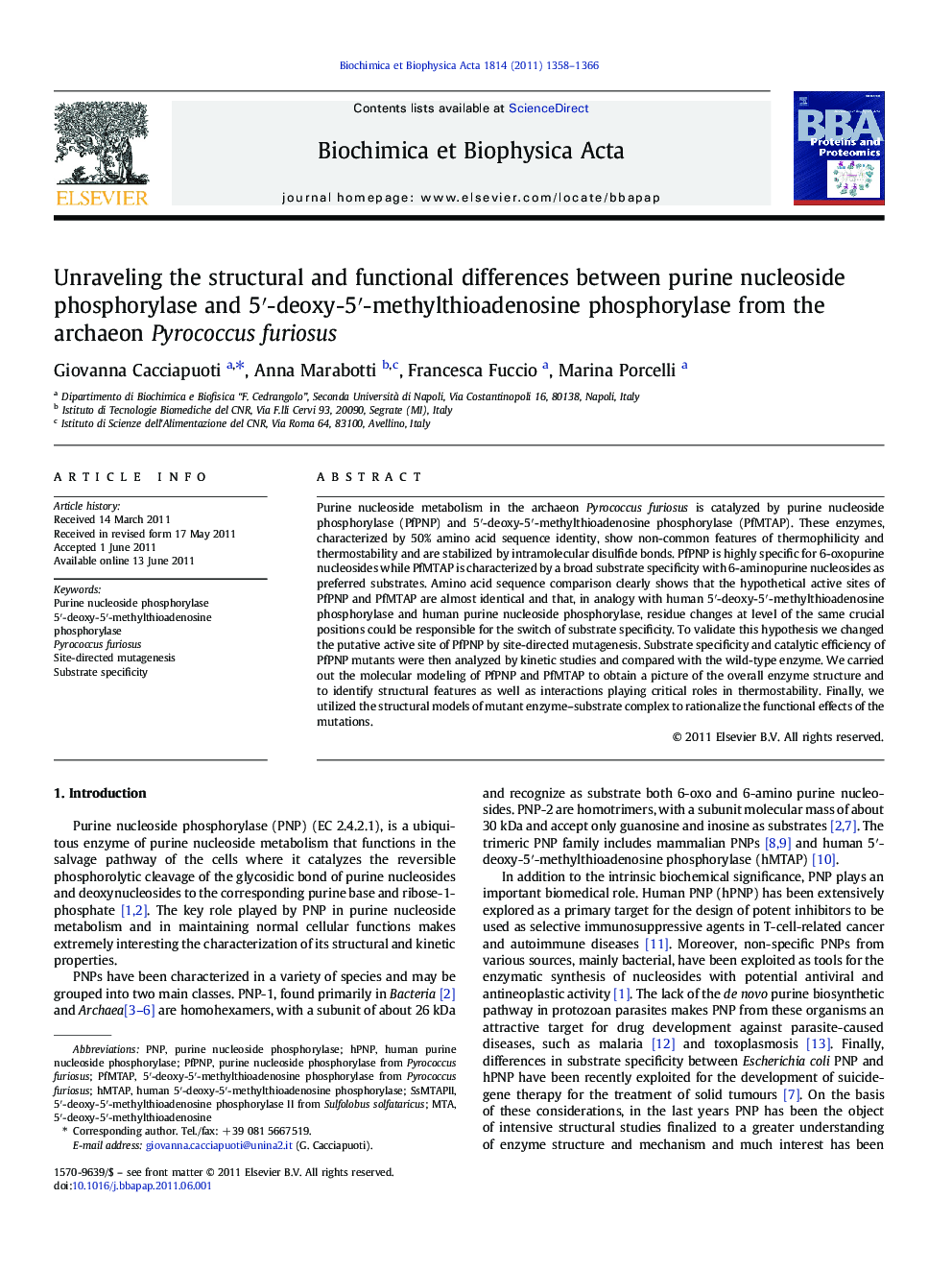 Unraveling the structural and functional differences between purine nucleoside phosphorylase and 5′-deoxy-5′-methylthioadenosine phosphorylase from the archaeon Pyrococcus furiosus