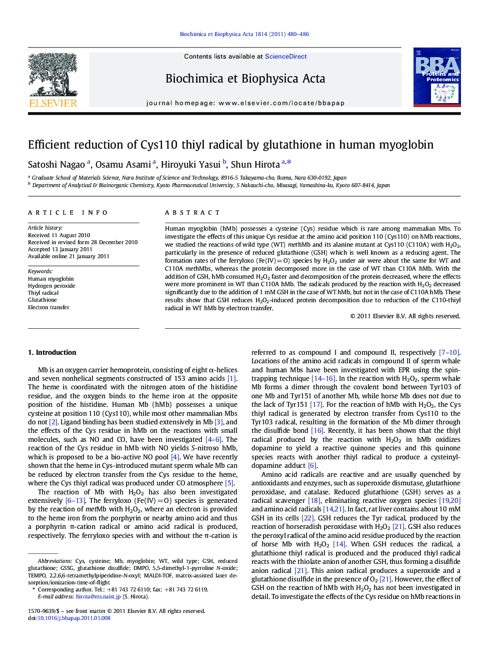 Efficient reduction of Cys110 thiyl radical by glutathione in human myoglobin