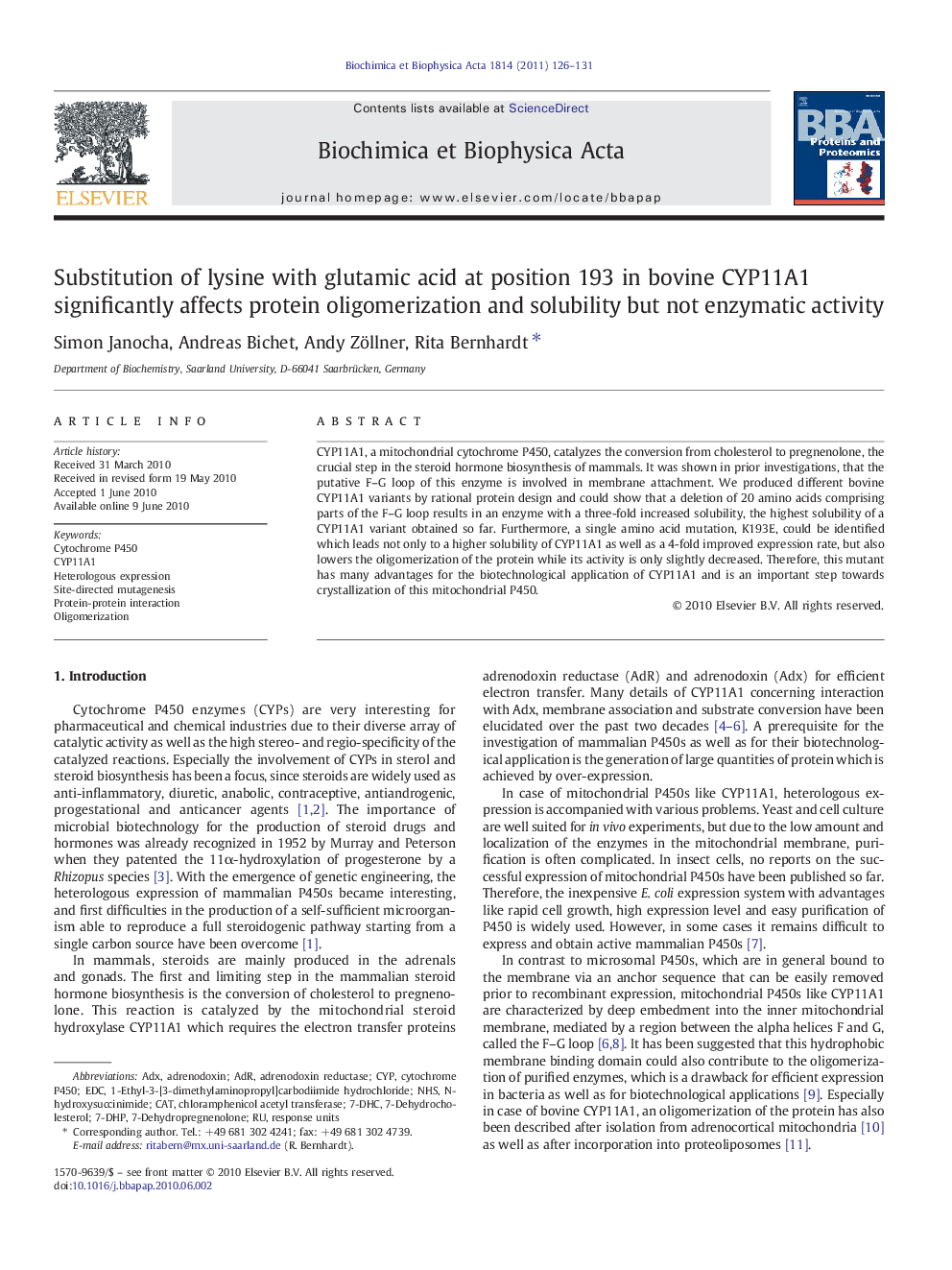 Substitution of lysine with glutamic acid at position 193 in bovine CYP11A1 significantly affects protein oligomerization and solubility but not enzymatic activity