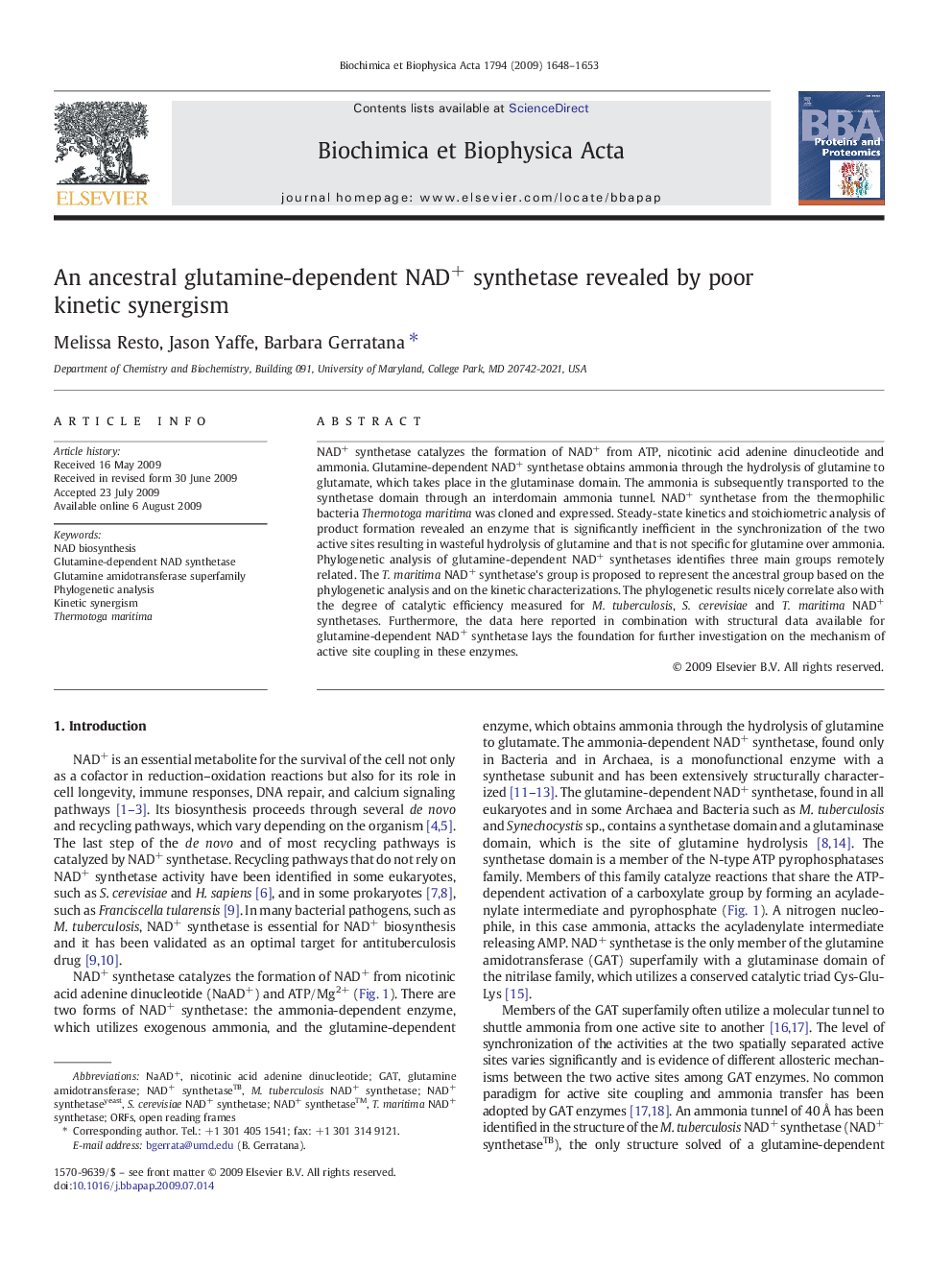 An ancestral glutamine-dependent NAD+ synthetase revealed by poor kinetic synergism