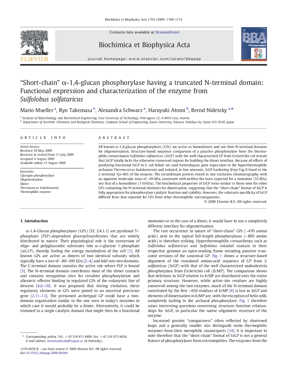 “Short-chain” α-1,4-glucan phosphorylase having a truncated N-terminal domain: Functional expression and characterization of the enzyme from Sulfolobus solfataricus