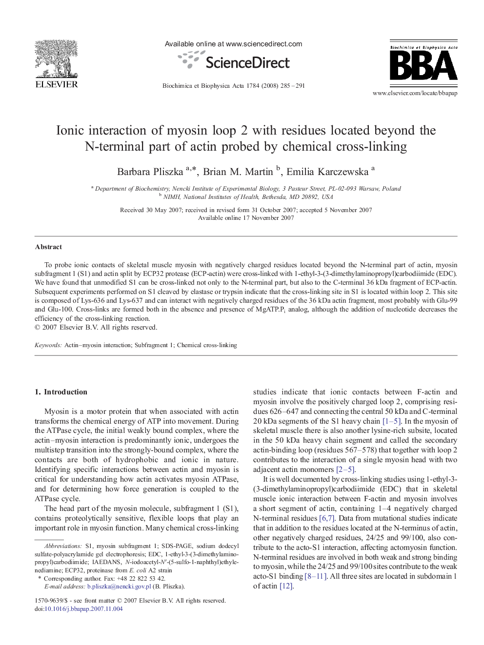 Ionic interaction of myosin loop 2 with residues located beyond the N-terminal part of actin probed by chemical cross-linking