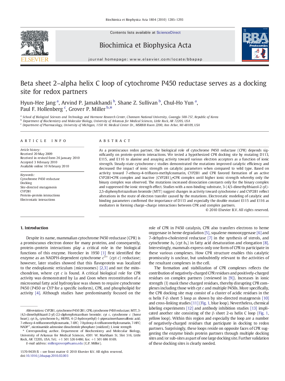 Beta sheet 2–alpha helix C loop of cytochrome P450 reductase serves as a docking site for redox partners