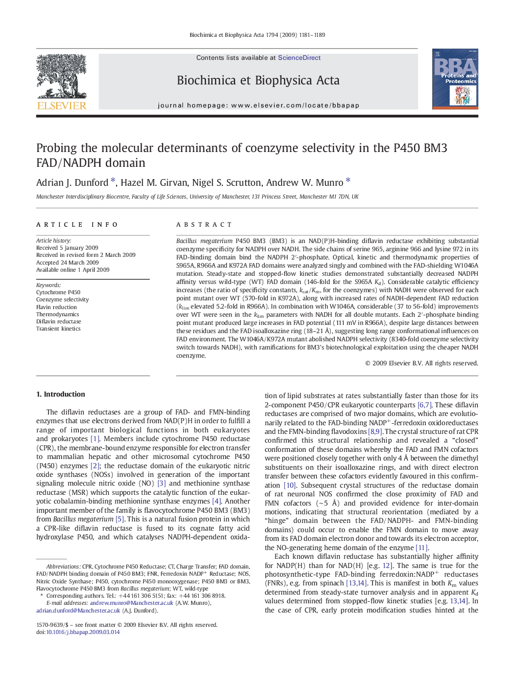 Probing the molecular determinants of coenzyme selectivity in the P450 BM3 FAD/NADPH domain