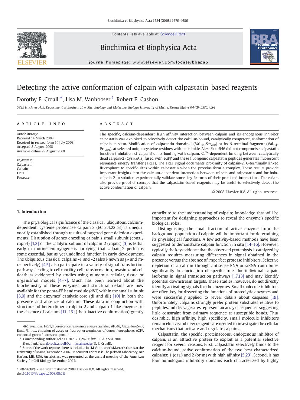 Detecting the active conformation of calpain with calpastatin-based reagents