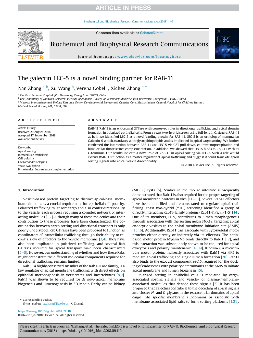 The galectin LEC-5 is a novel binding partner for RAB-11