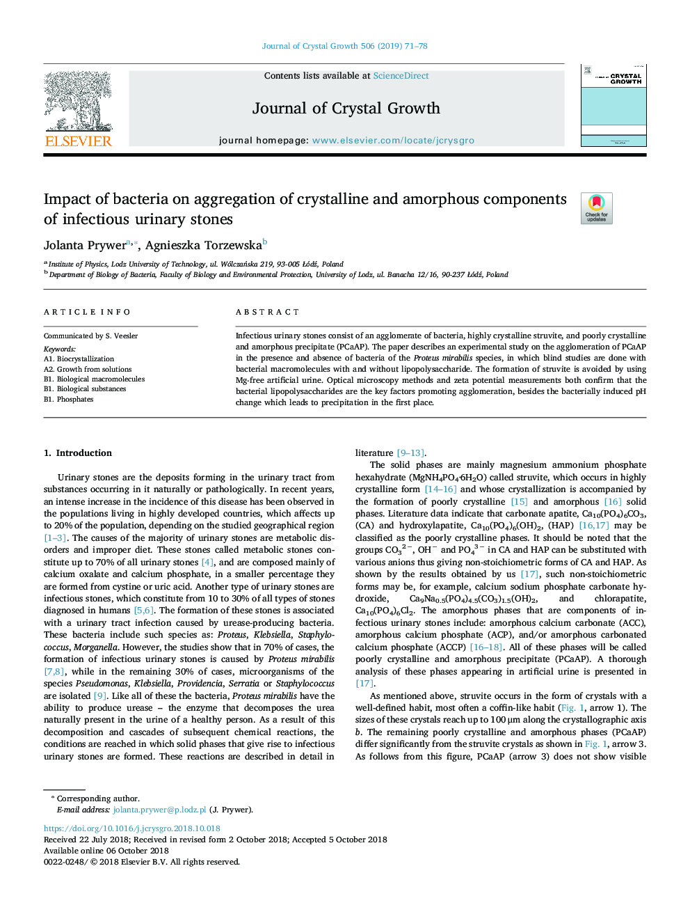 Impact of bacteria on aggregation of crystalline and amorphous components of infectious urinary stones