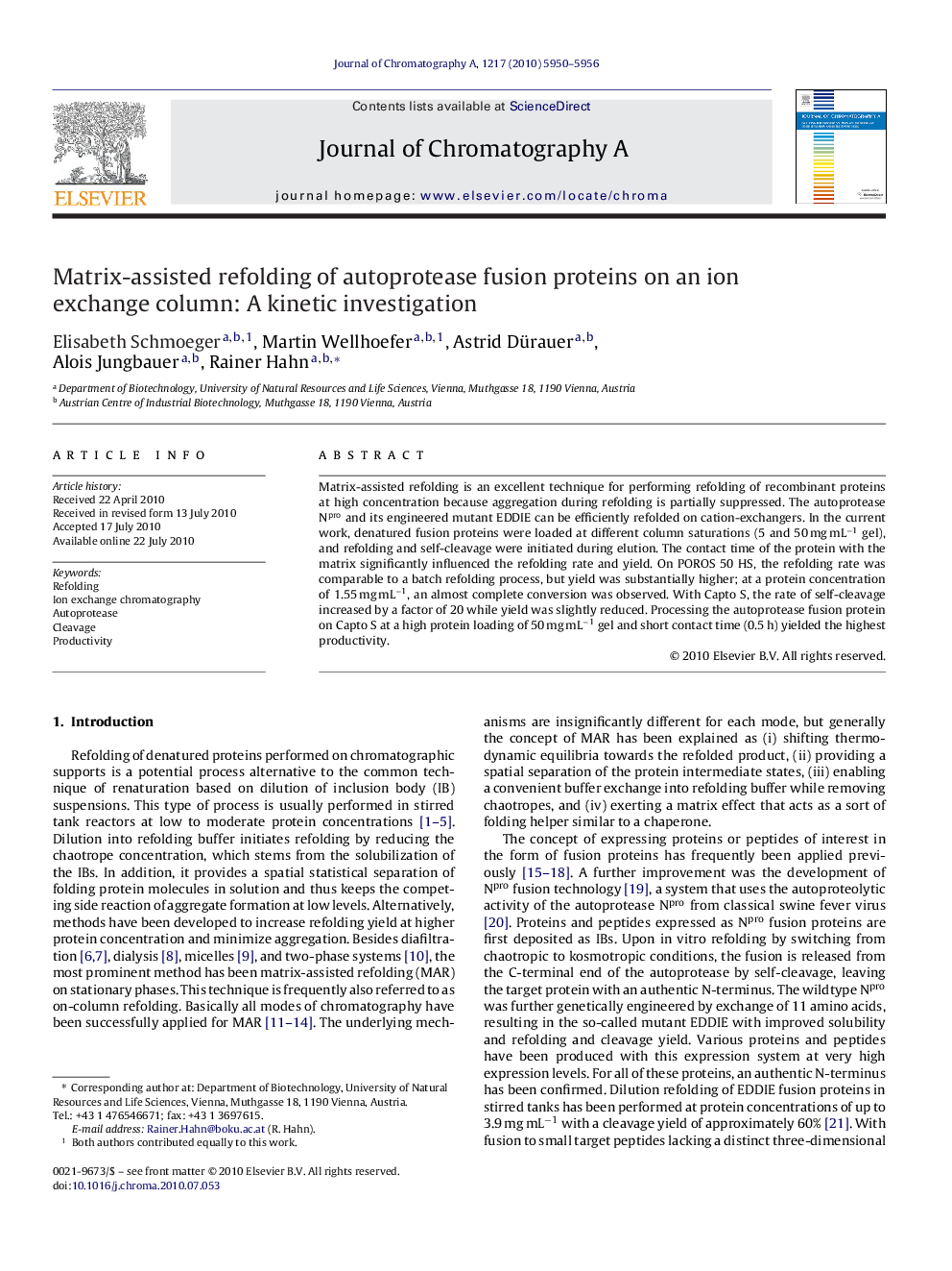 Matrix-assisted refolding of autoprotease fusion proteins on an ion exchange column: A kinetic investigation