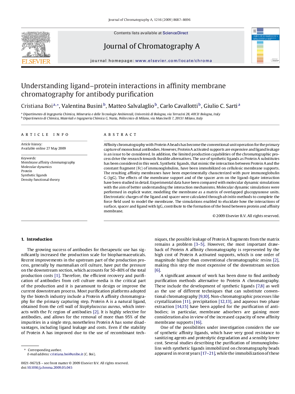 Understanding ligand–protein interactions in affinity membrane chromatography for antibody purification