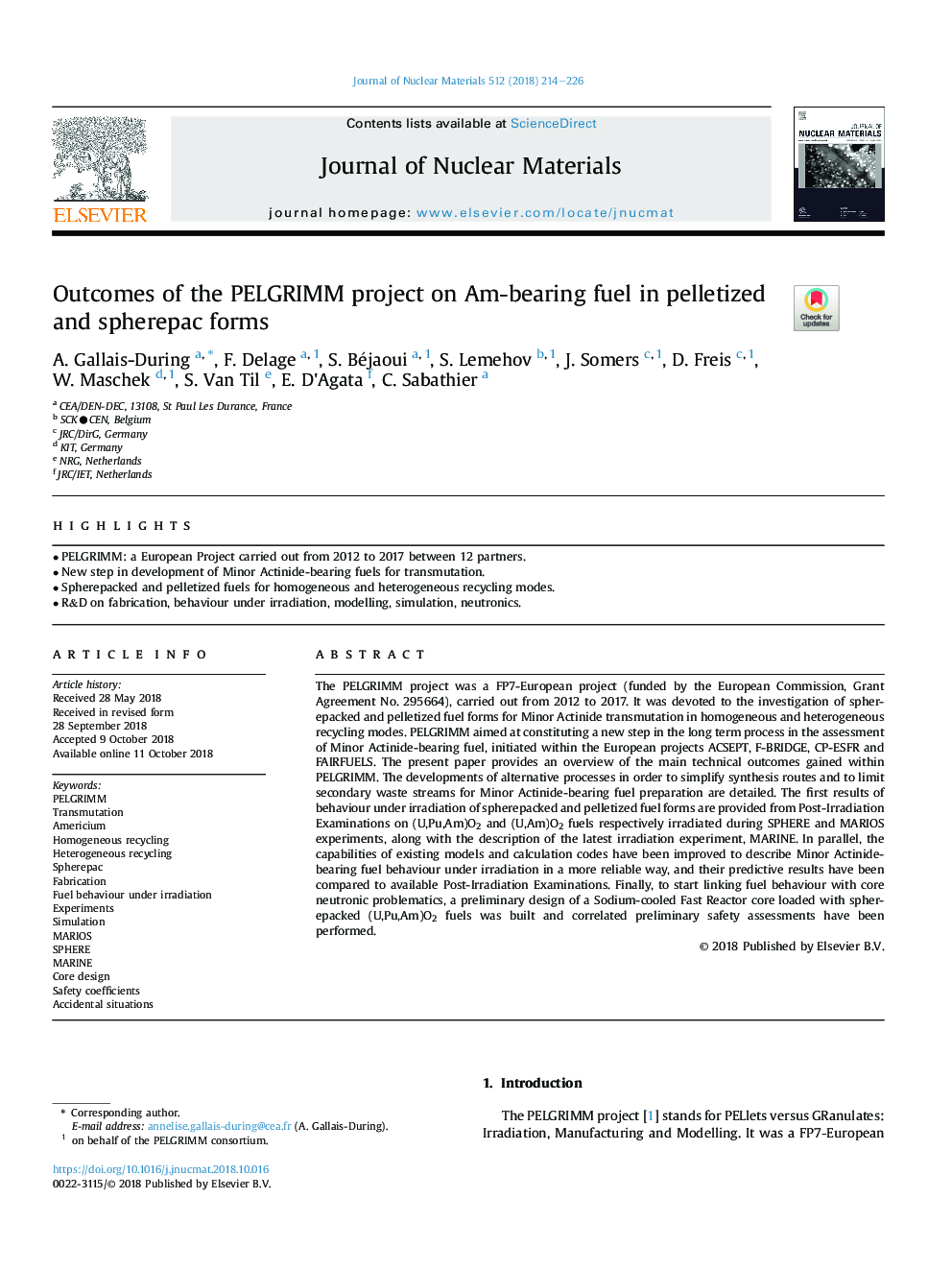 Outcomes of the PELGRIMM project on Am-bearing fuel in pelletized and spherepac forms