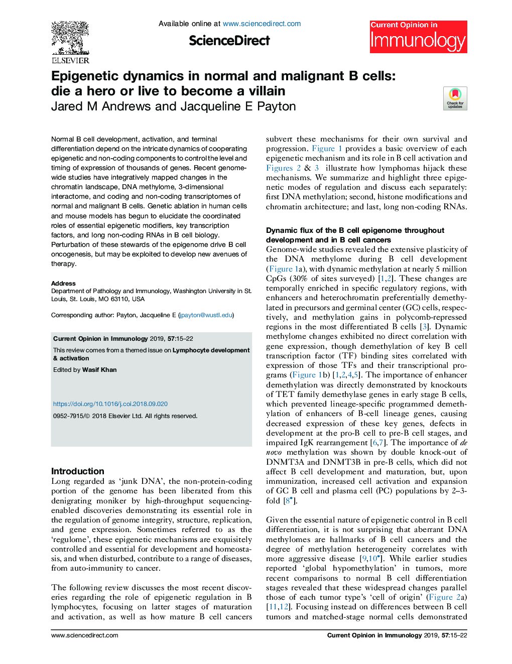 Epigenetic dynamics in normal and malignant B cells: die a hero or live to become a villain