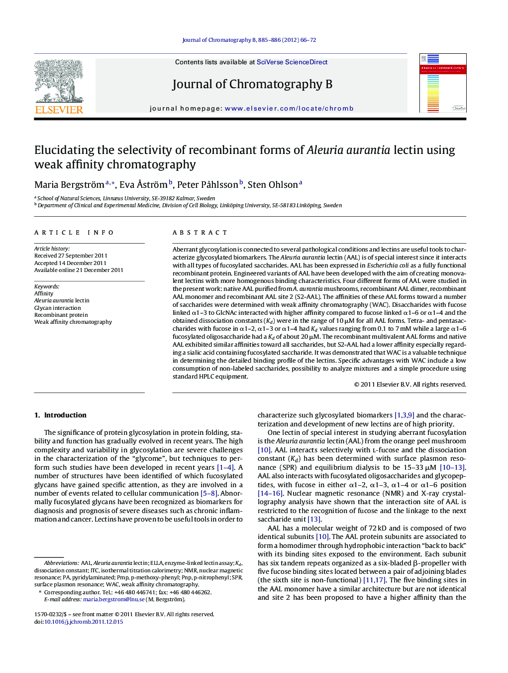 Elucidating the selectivity of recombinant forms of Aleuria aurantia lectin using weak affinity chromatography