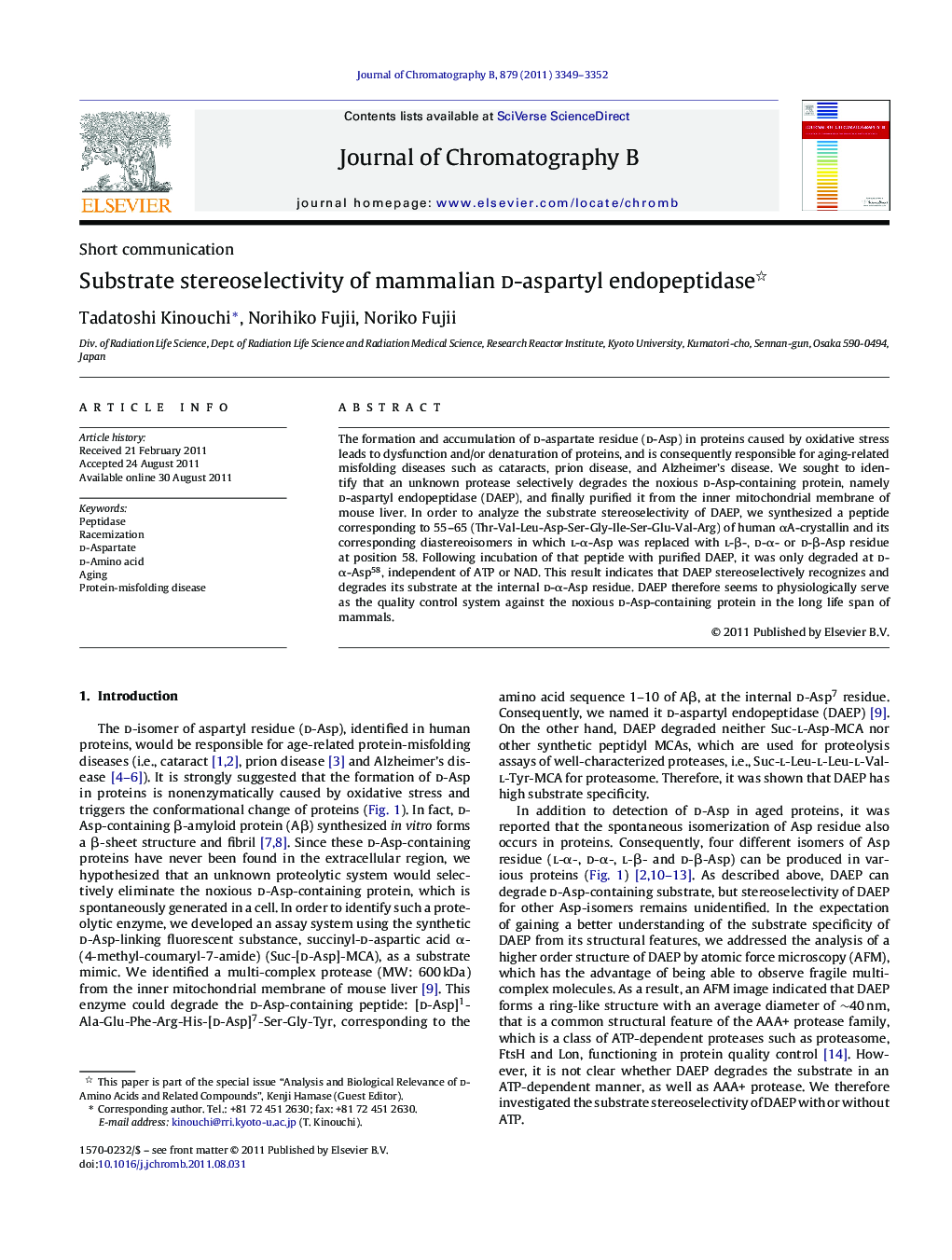 Substrate stereoselectivity of mammalian d-aspartyl endopeptidase 