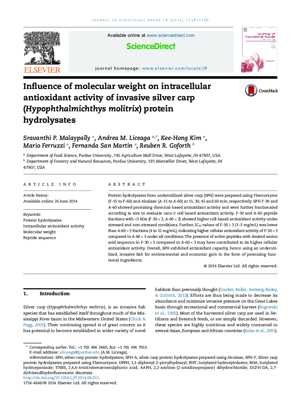 Influence of molecular weight on intracellular antioxidant activity of invasive silver carp (Hypophthalmichthys molitrix) protein hydrolysates