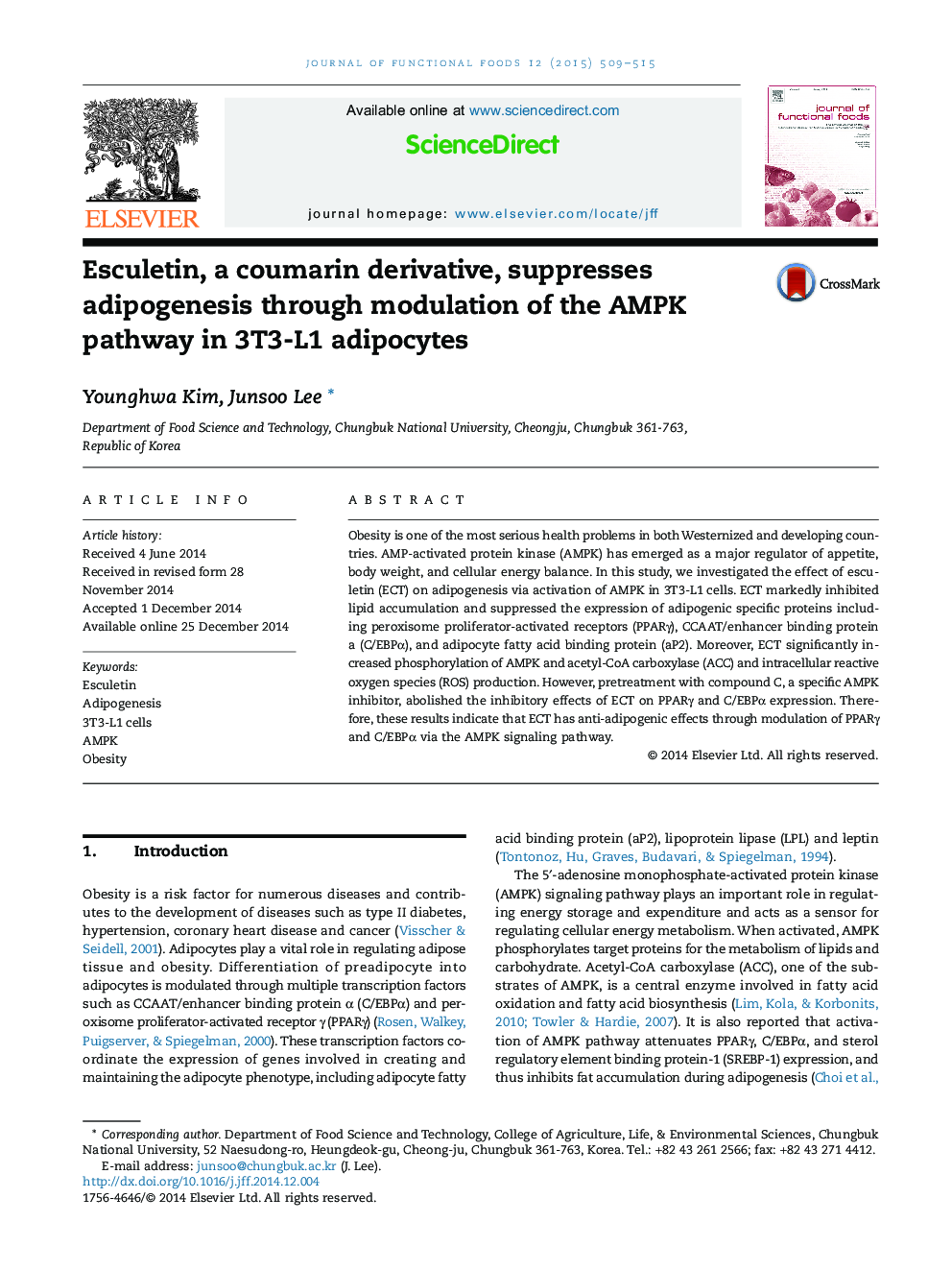 Esculetin, a coumarin derivative, suppresses adipogenesis through modulation of the AMPK pathway in 3T3-L1 adipocytes