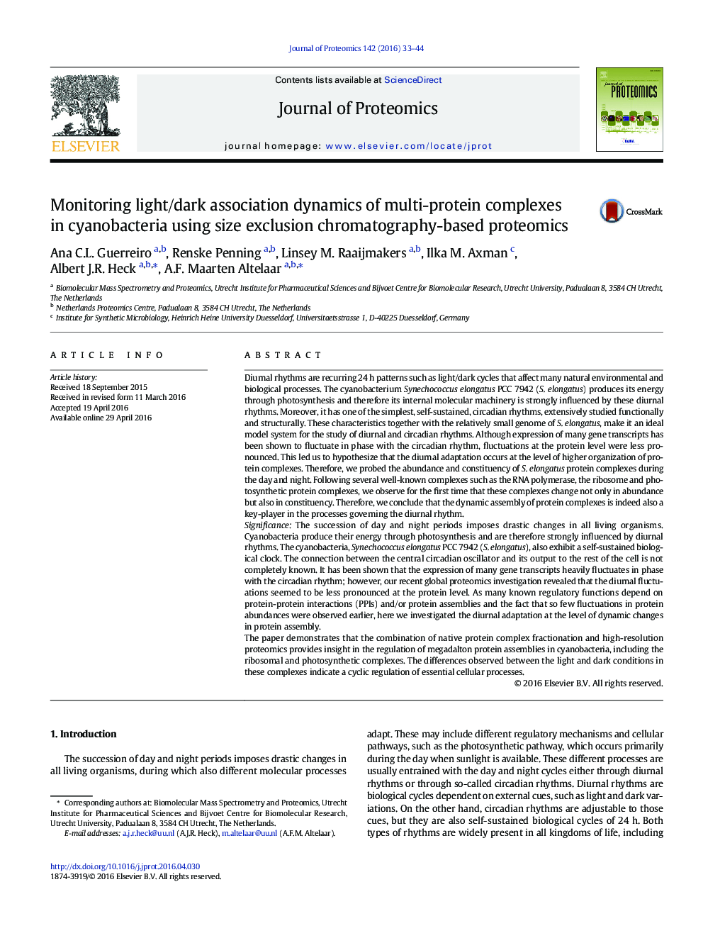 Monitoring light/dark association dynamics of multi-protein complexes in cyanobacteria using size exclusion chromatography-based proteomics