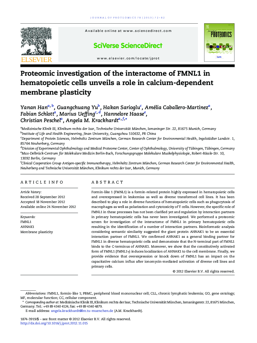 Proteomic investigation of the interactome of FMNL1 in hematopoietic cells unveils a role in calcium-dependent membrane plasticity