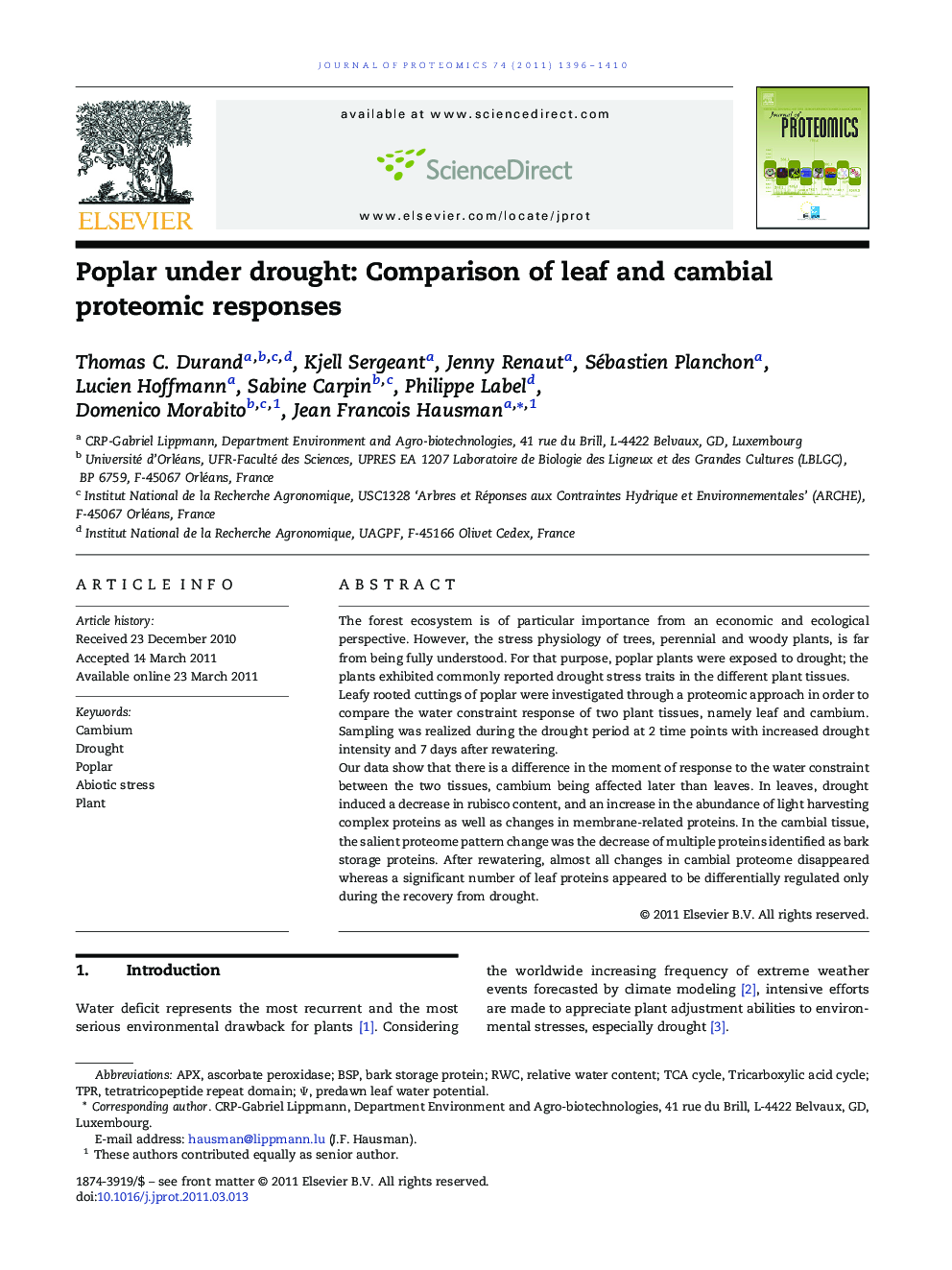 Poplar under drought: Comparison of leaf and cambial proteomic responses