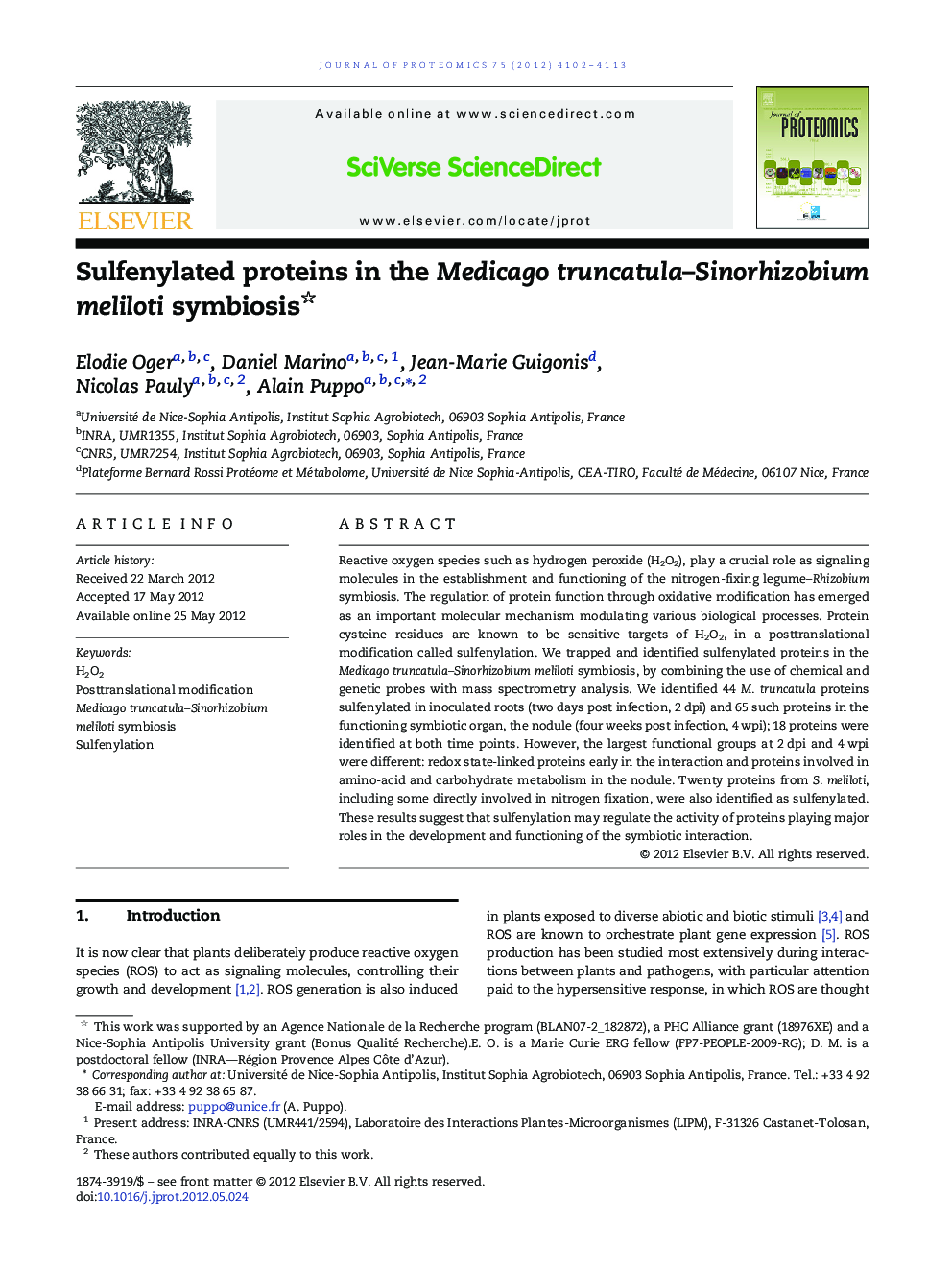 Sulfenylated proteins in the Medicago truncatula–Sinorhizobium meliloti symbiosis 