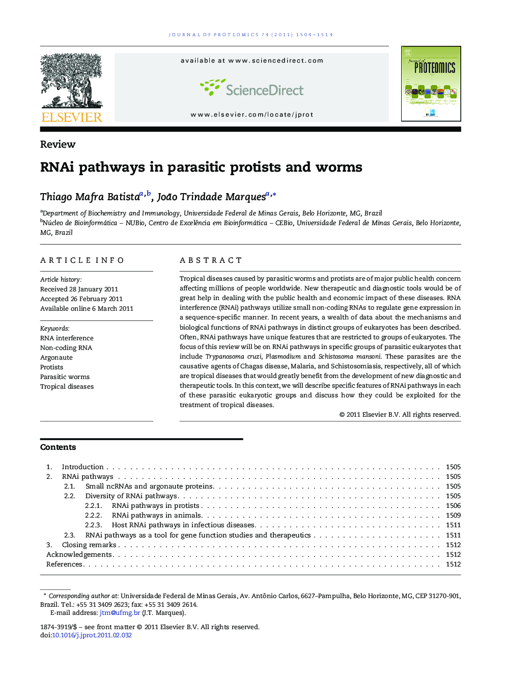 RNAi pathways in parasitic protists and worms