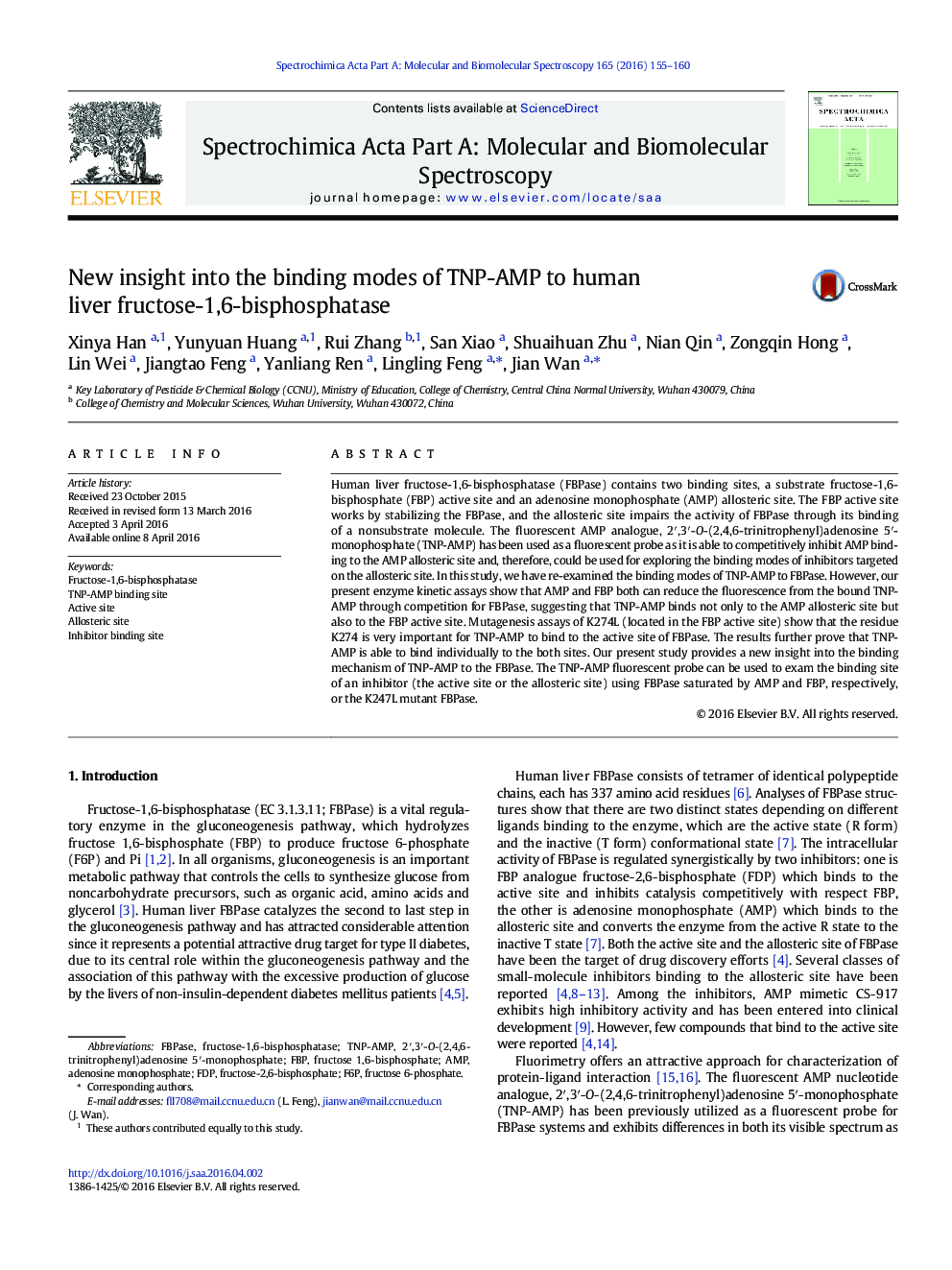 New insight into the binding modes of TNP-AMP to human liver fructose-1,6-bisphosphatase