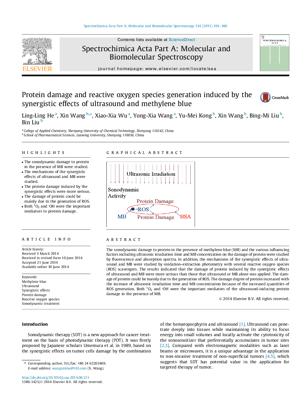 Protein damage and reactive oxygen species generation induced by the synergistic effects of ultrasound and methylene blue