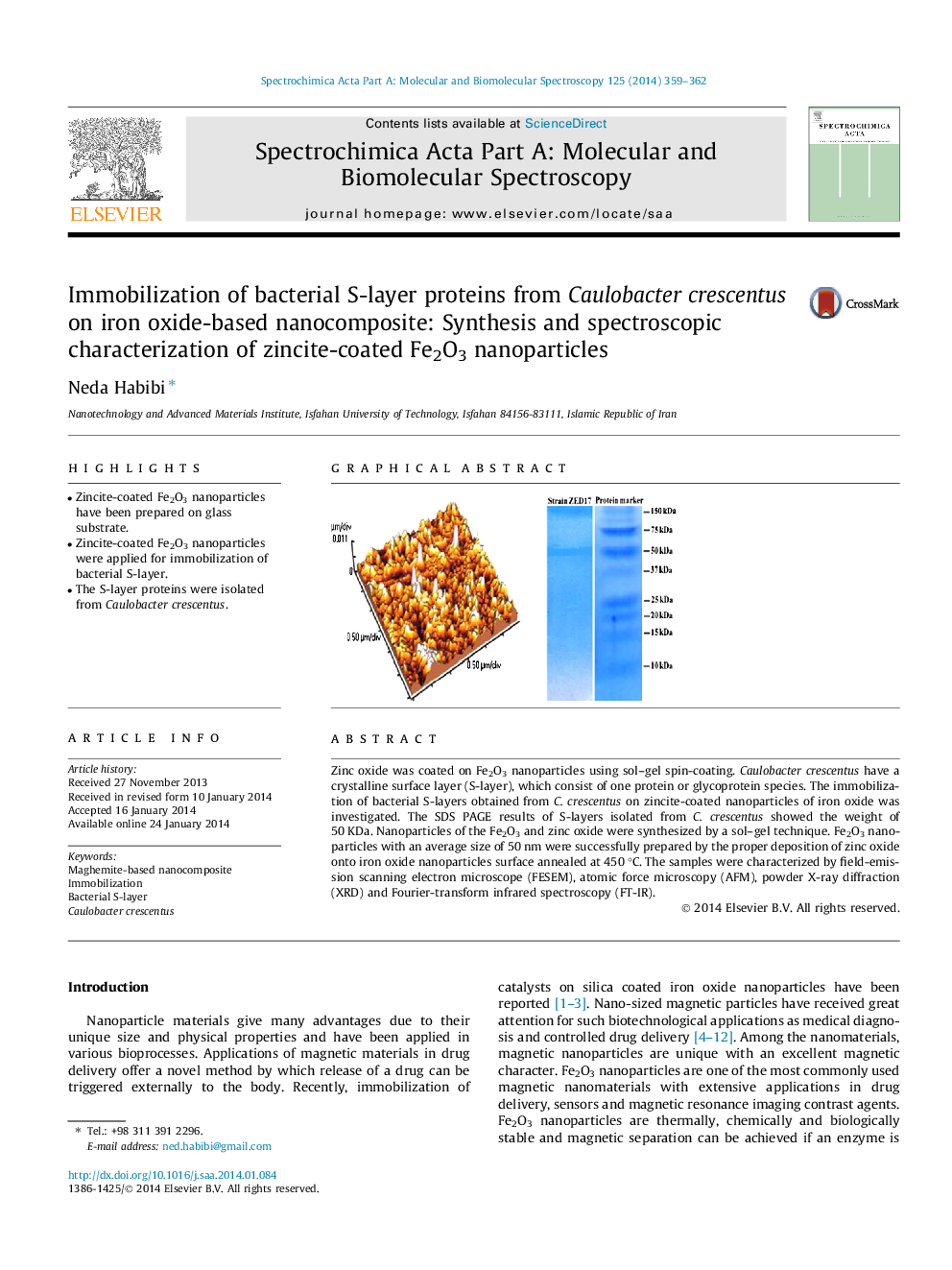 Immobilization of bacterial S-layer proteins from Caulobacter crescentus on iron oxide-based nanocomposite: Synthesis and spectroscopic characterization of zincite-coated Fe2O3 nanoparticles